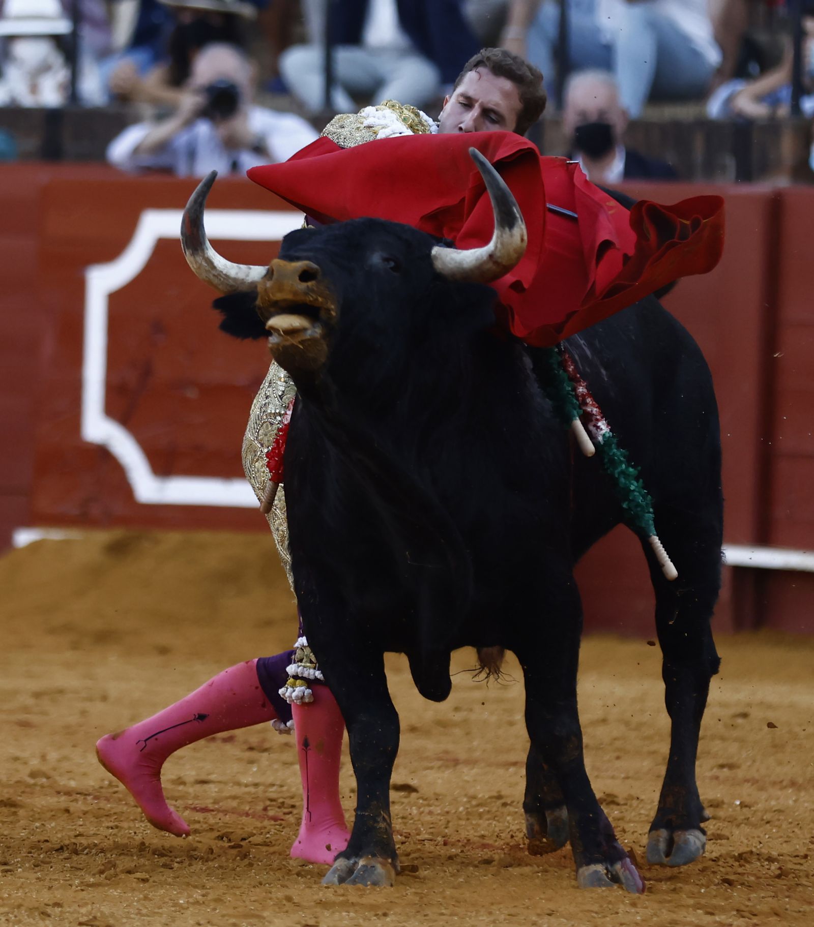 Fotos de la segunda novillada de la feria de San Miguel de Sevilla