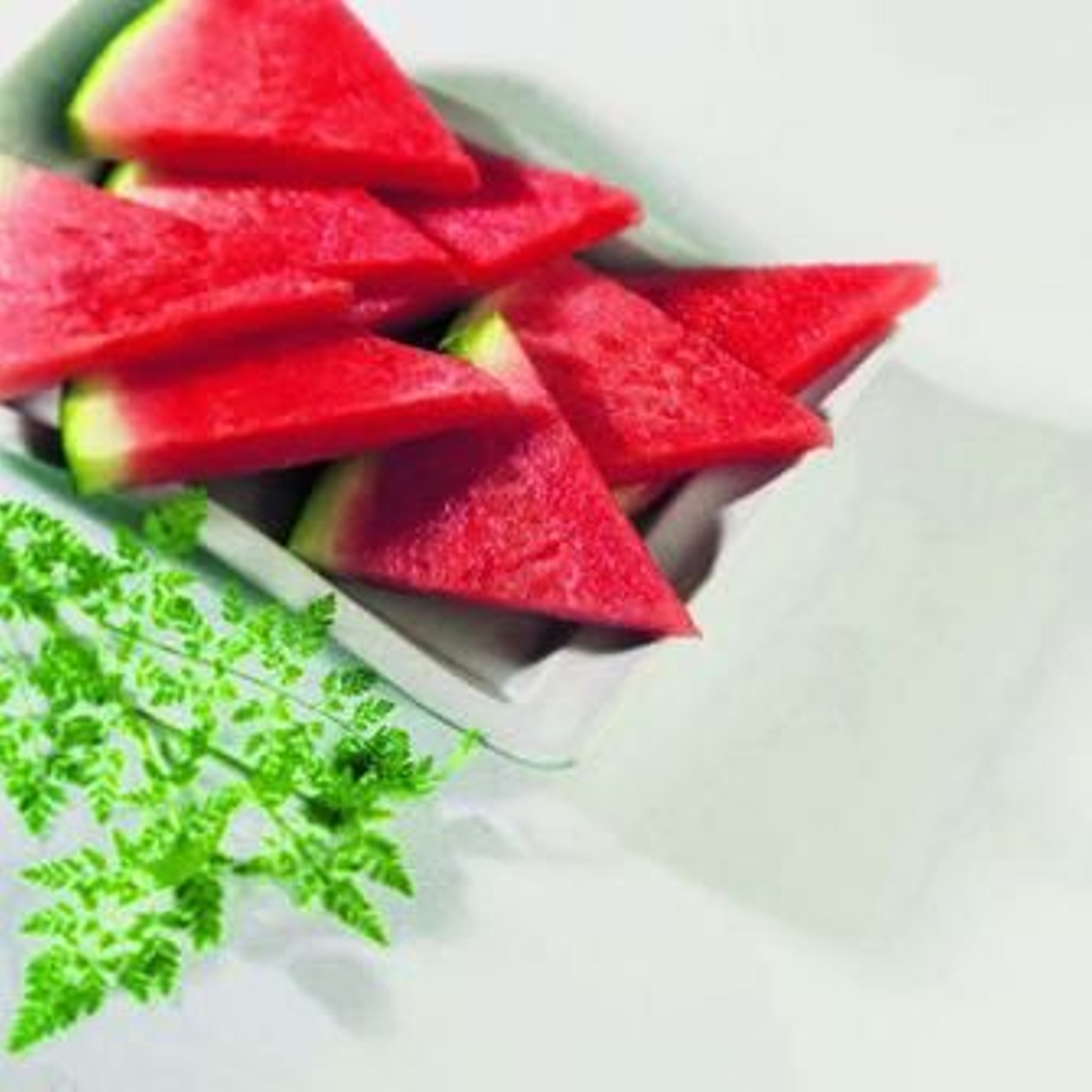 Sandía marca fashion: un producto de excelente calidad y saludable