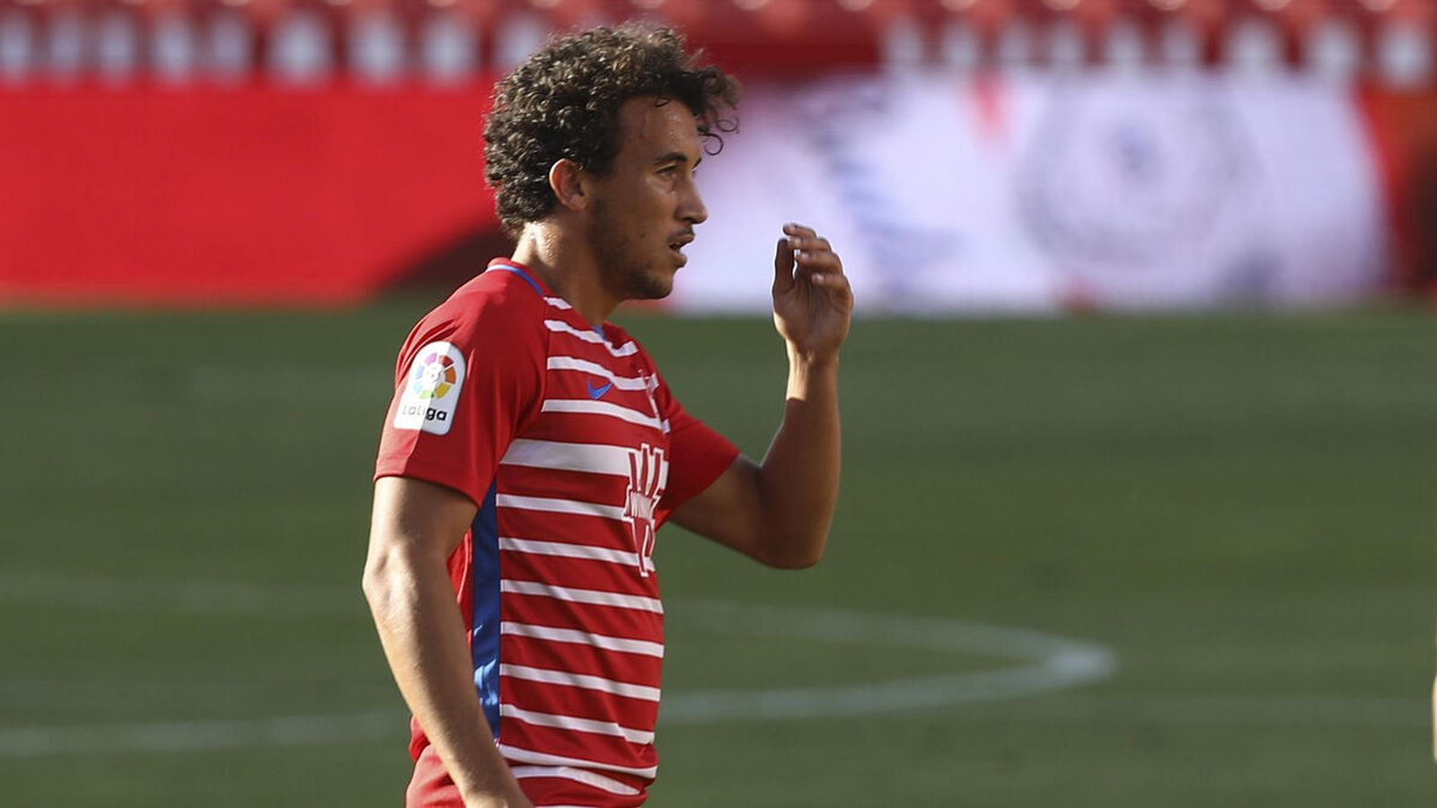 Luis Milla, en un partido con el Granada