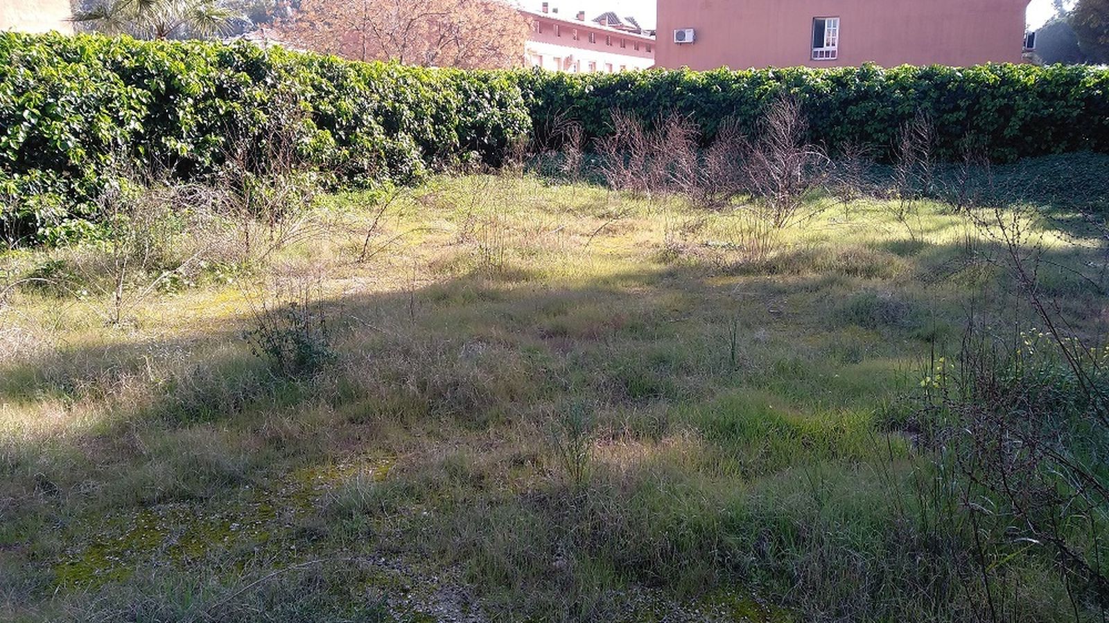 Una imagen de la parcela que había sido cedida  Ecologistas en Acción y les fue retirada.