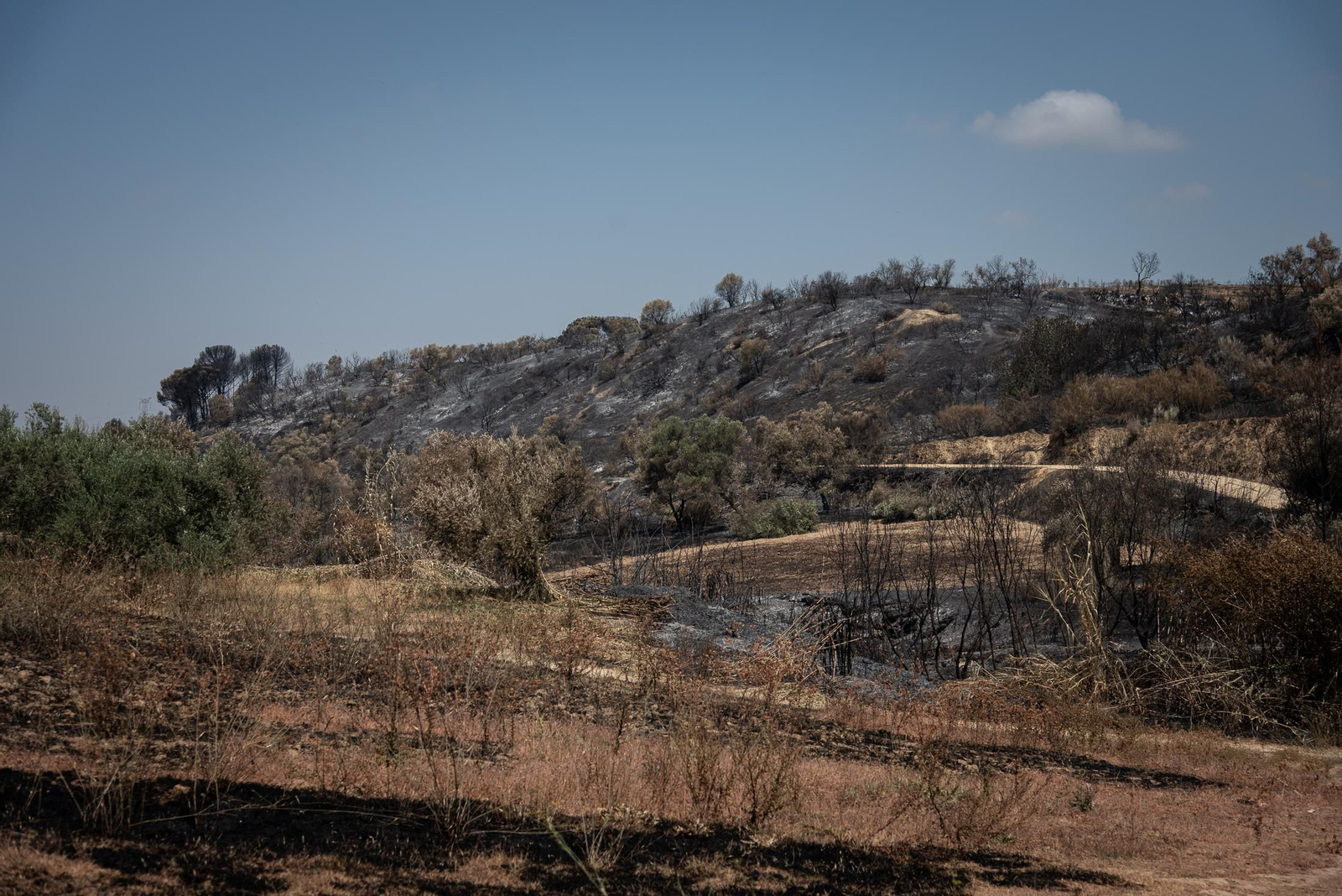 Imágenes de los destrozos causados por el incendio de Lucena del Puerto