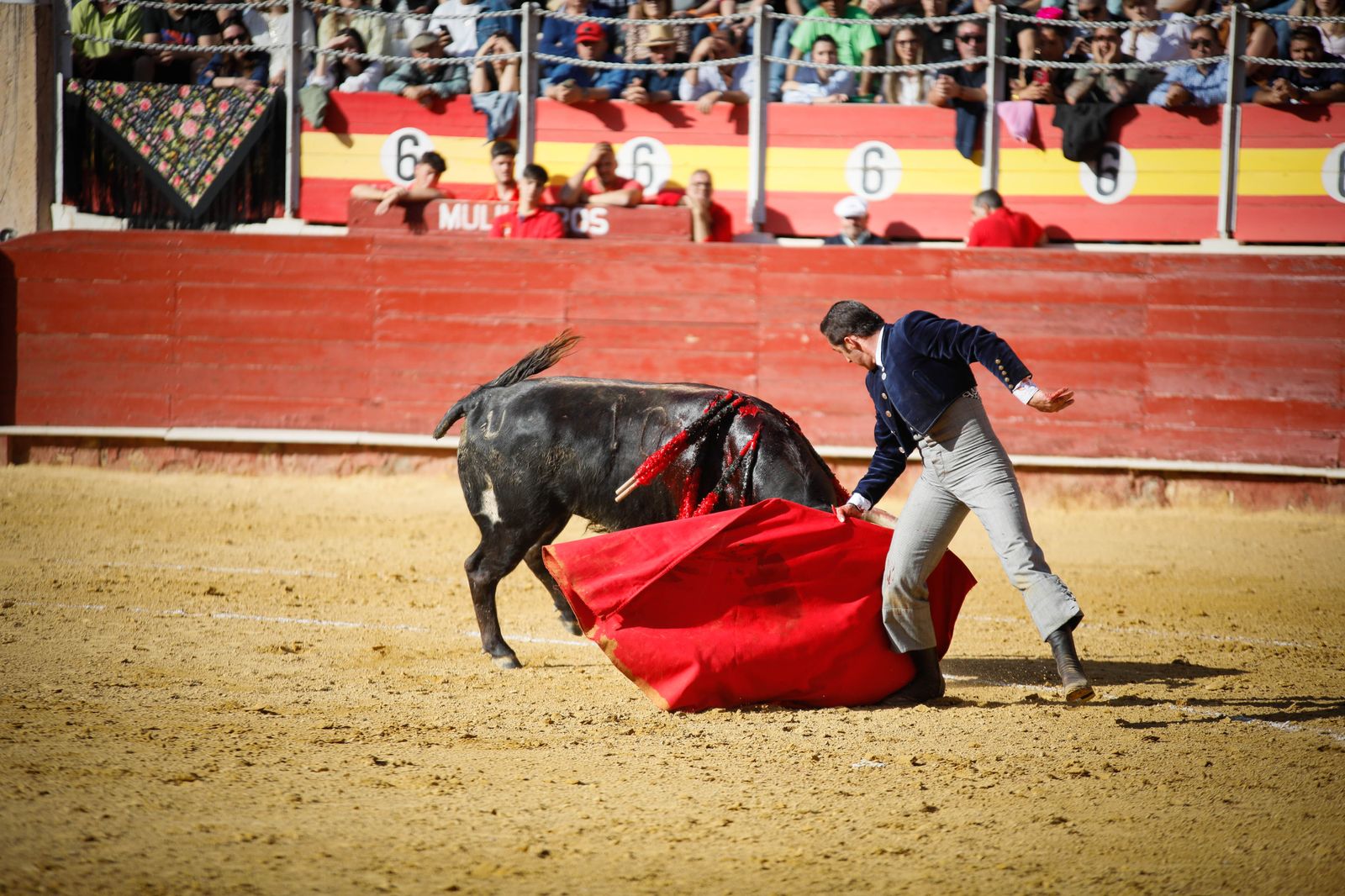 Imágenes del festival mixto lucha contra el cáncer