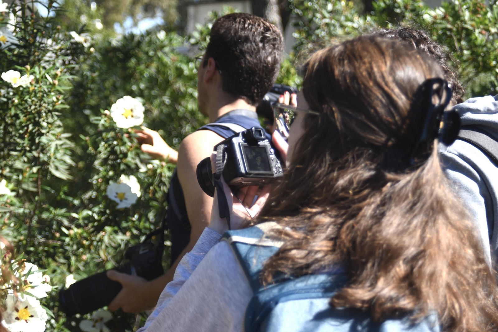 Las mejores imágenes del 'Maratón de identificación de especies' de la Universidad de Córdoba
