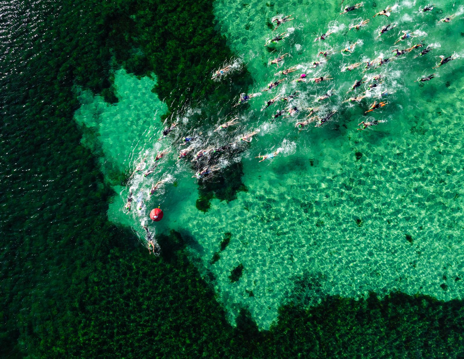 Natación y deportes acuáticos | Cool Water