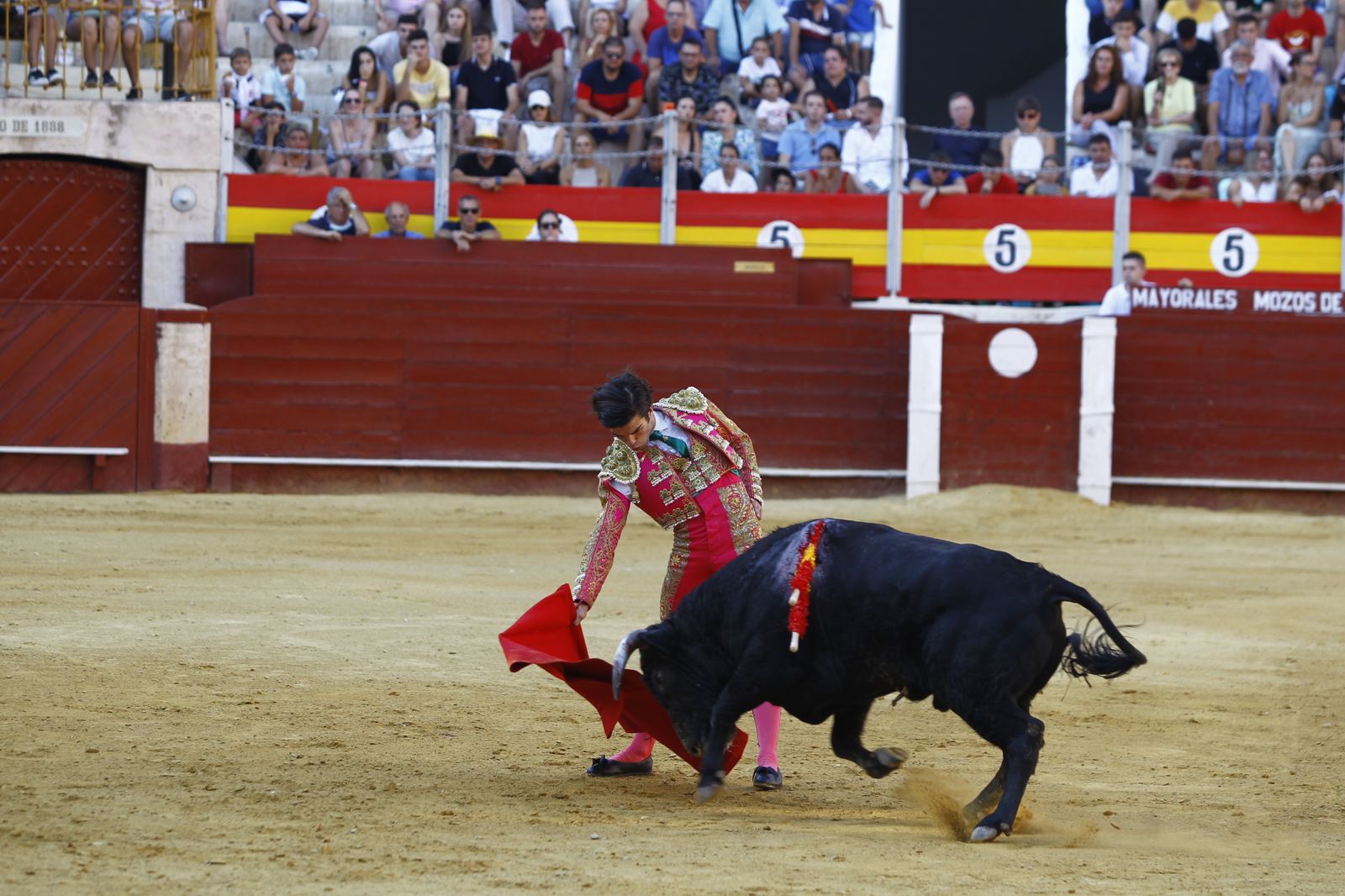 Imágenes de la novillada organizada por la Escuela Taurina de Almería