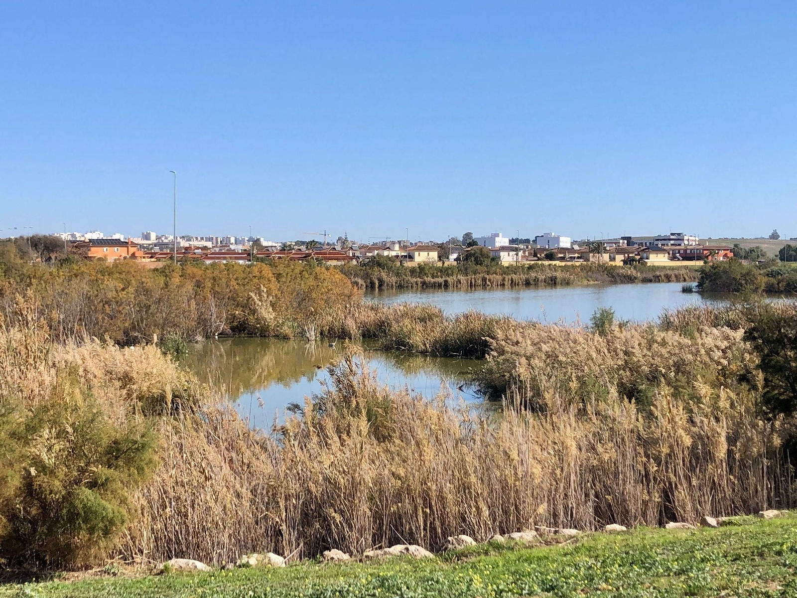 La Laguna de Torrox de Jerez: un paseo ideal para los amantes del aire libre