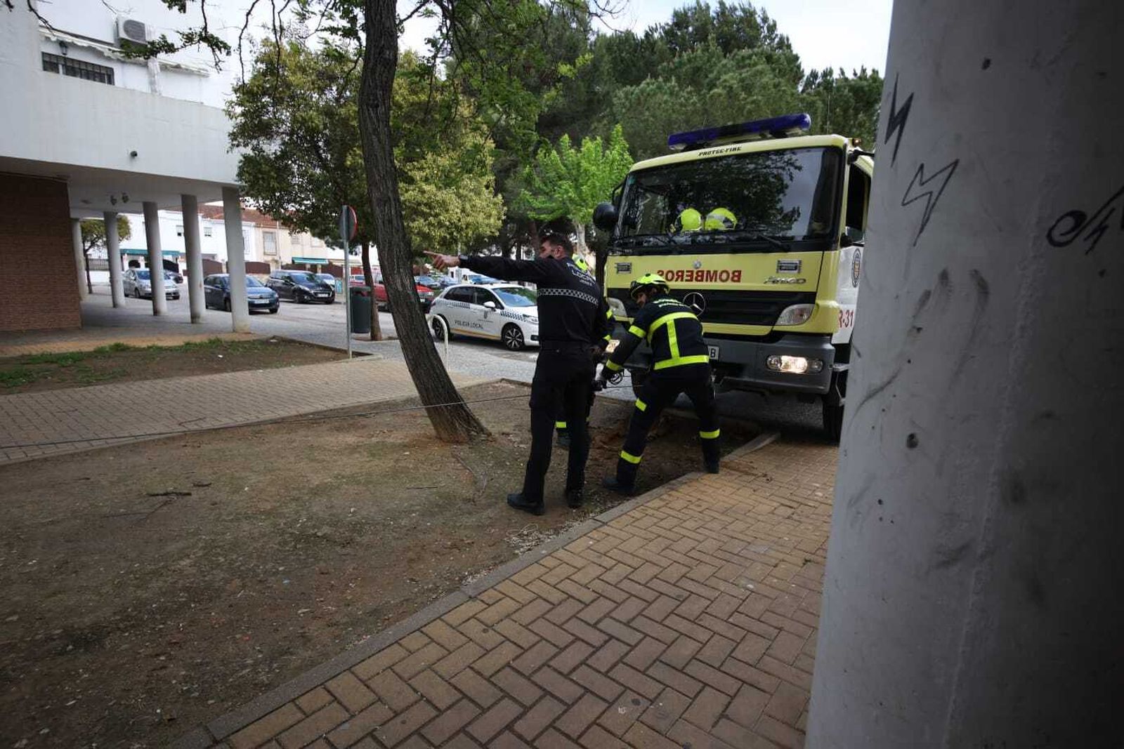 Así ha sido la actuación de los bomberos de Jerez para retirar un árbol y evitar daños en viviendas