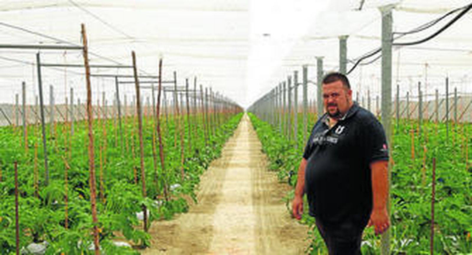 Ismael Valero, delegado comercial de ASP Asepsia en Almería, está en contacto con sus clientes a diario en aras de mejorar sus cultivos.