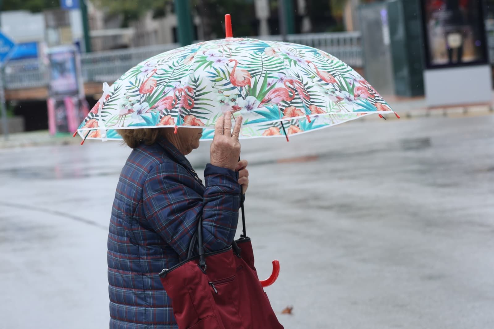 Málaga capital este jueves tras el paso de la borrasca Leonardo.