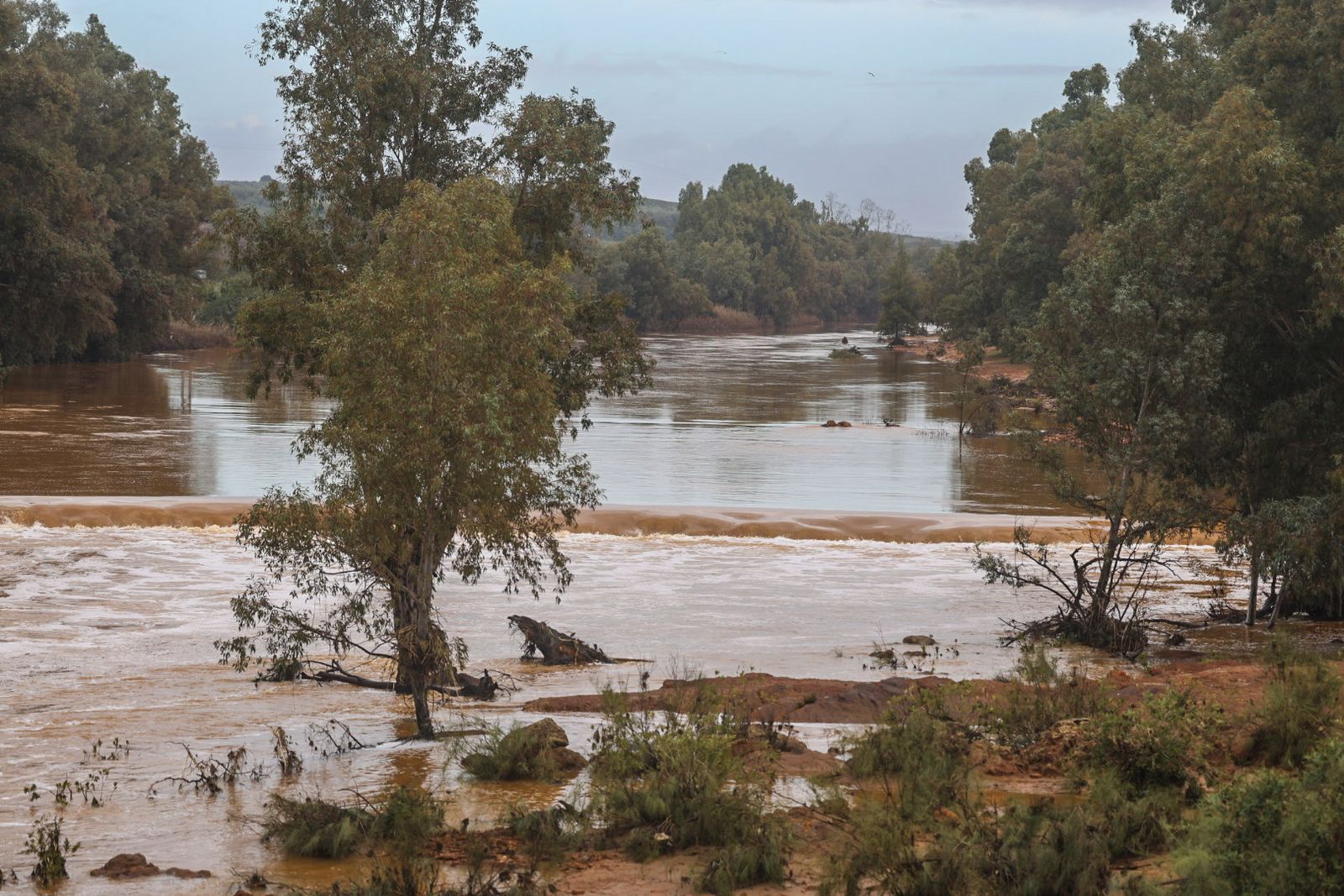 Fotografías del río Tinto a su paso por Niebla