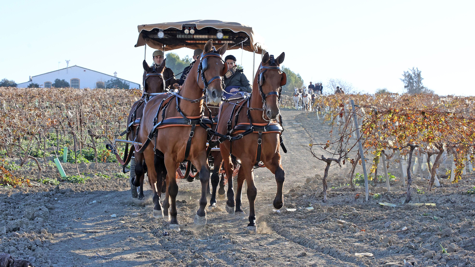 II Ruta Viñas de Jerez