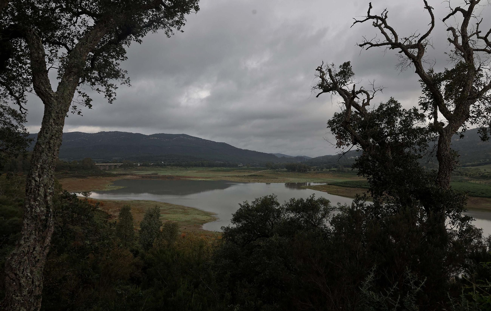 Fotos del pantano de Charco Redondo en Los Barrios