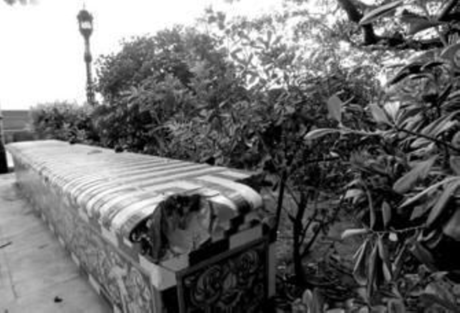 La falta de civismo desluce los cinco jardines protegidos