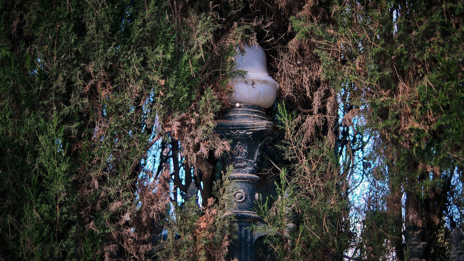 La reja que rodea el recinto y sus elementos adosados  aparecen con roturas, óxido y muy deteriorados.
