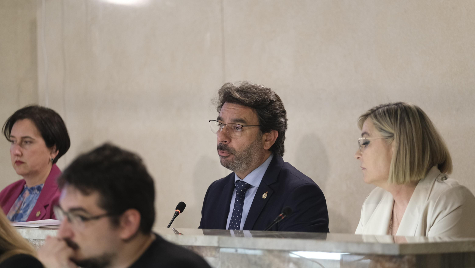 Imágenes del pleno ordinario del Ayuntamiento de Almería