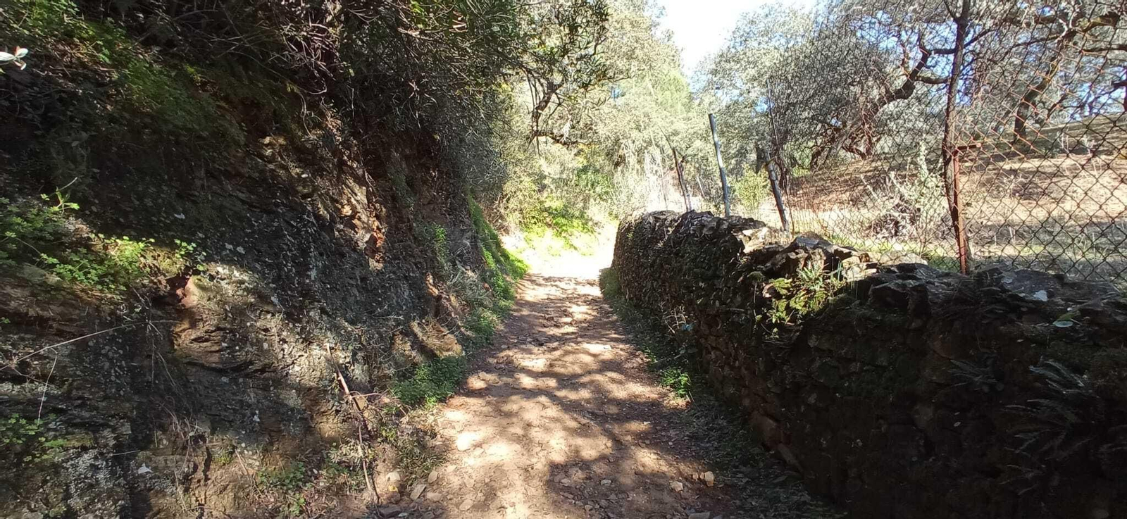 Fotos de la Ruta circular Aracena-Linares de la Sierra-Aracena