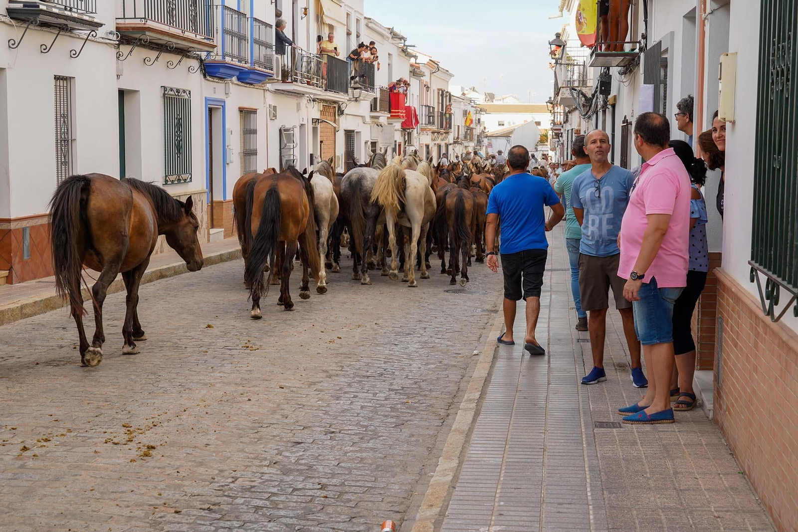 Las imágenes más destacas de la recogida de las yeguas en Hinojos