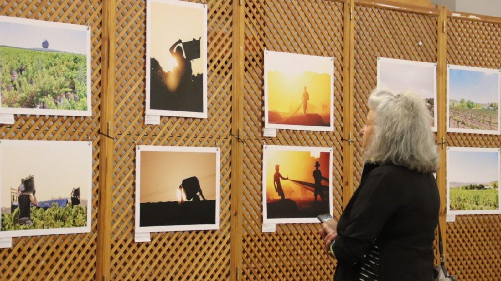 Exposición sobre enoturismo de Chema G. Mármol.