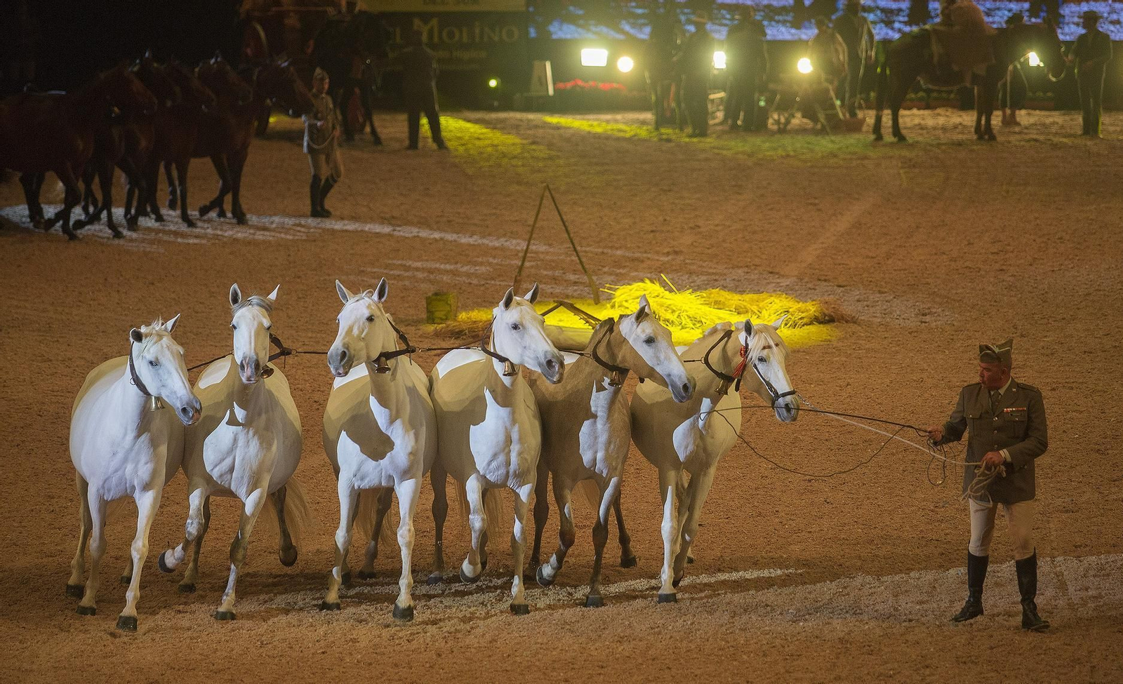 La inauguración de Sicab 2018, en imágenes