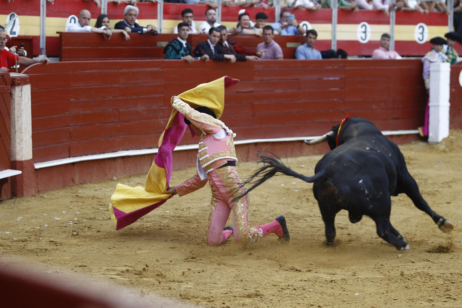 Imágenes de la novillada de la Feria de Almería 2025