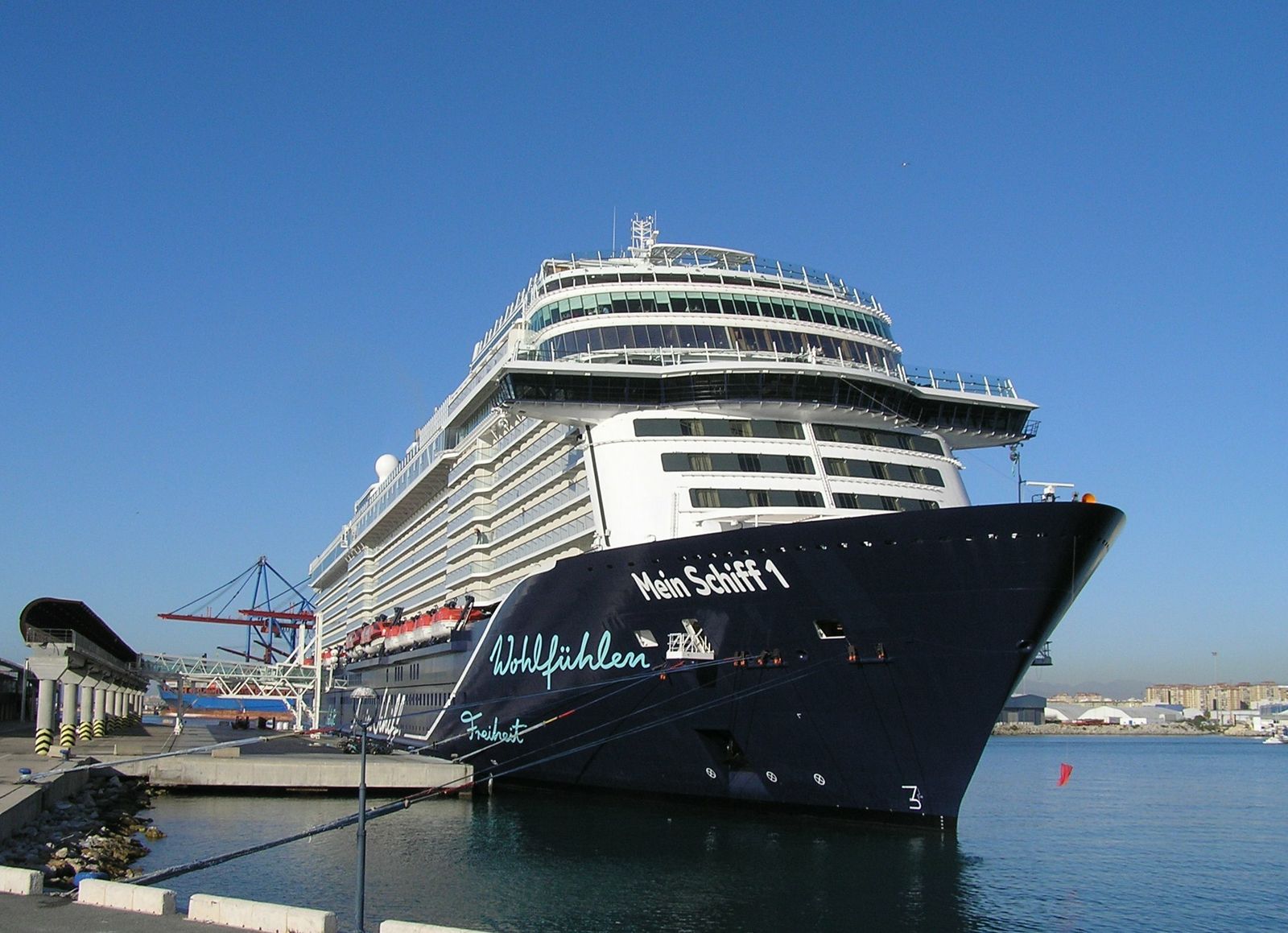 Fotos de los buques de crucero reunidos en Málaga