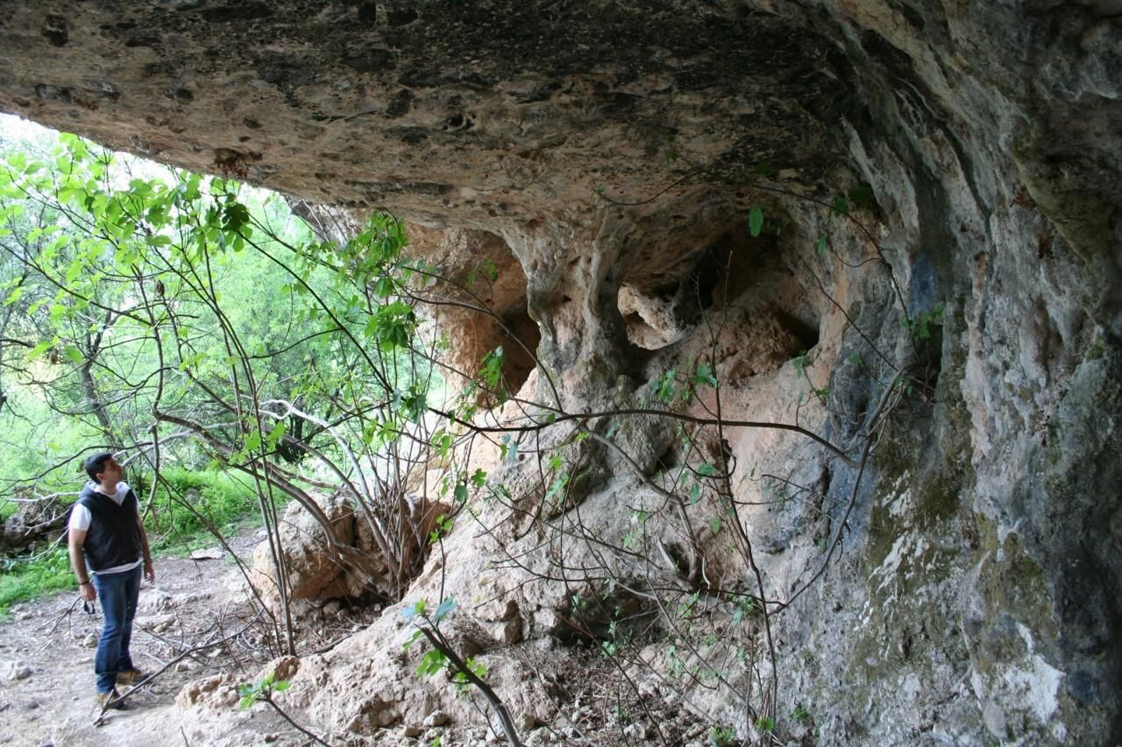El yacimiento arqueológico Santuario Cueva de la Lobera se sitúa en el municipio de Castellar.