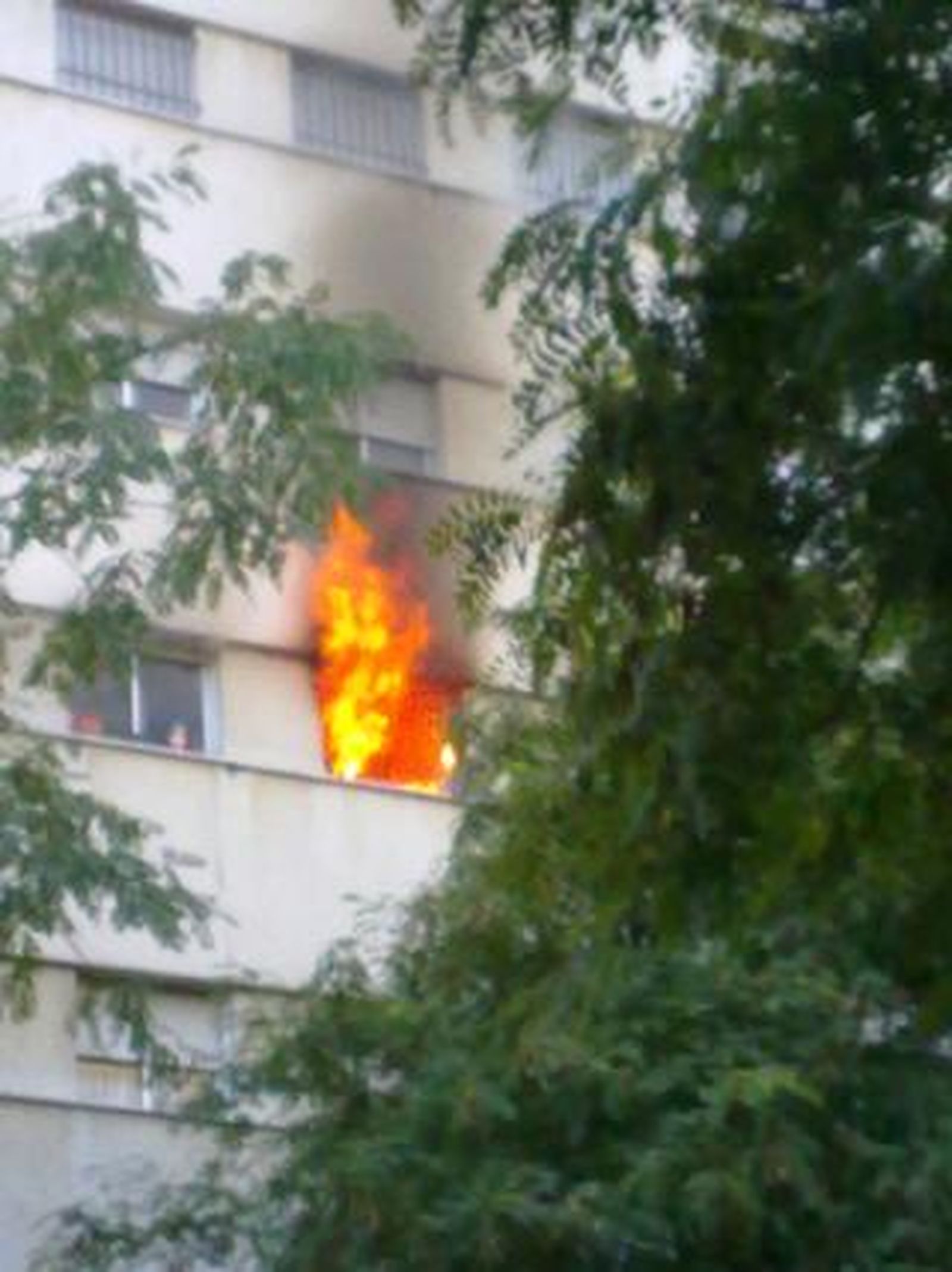 Foto: José Alfredo Tovar Cantos