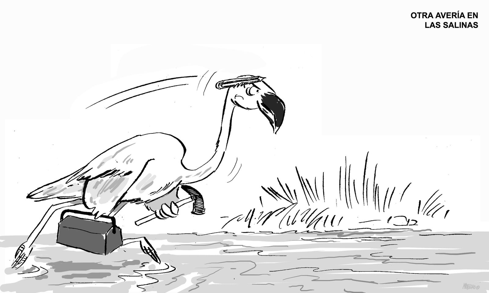 Salinas otra vez