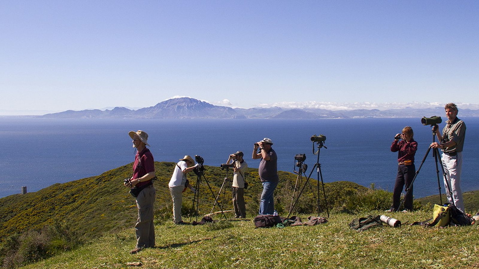 Avistamiento de aves