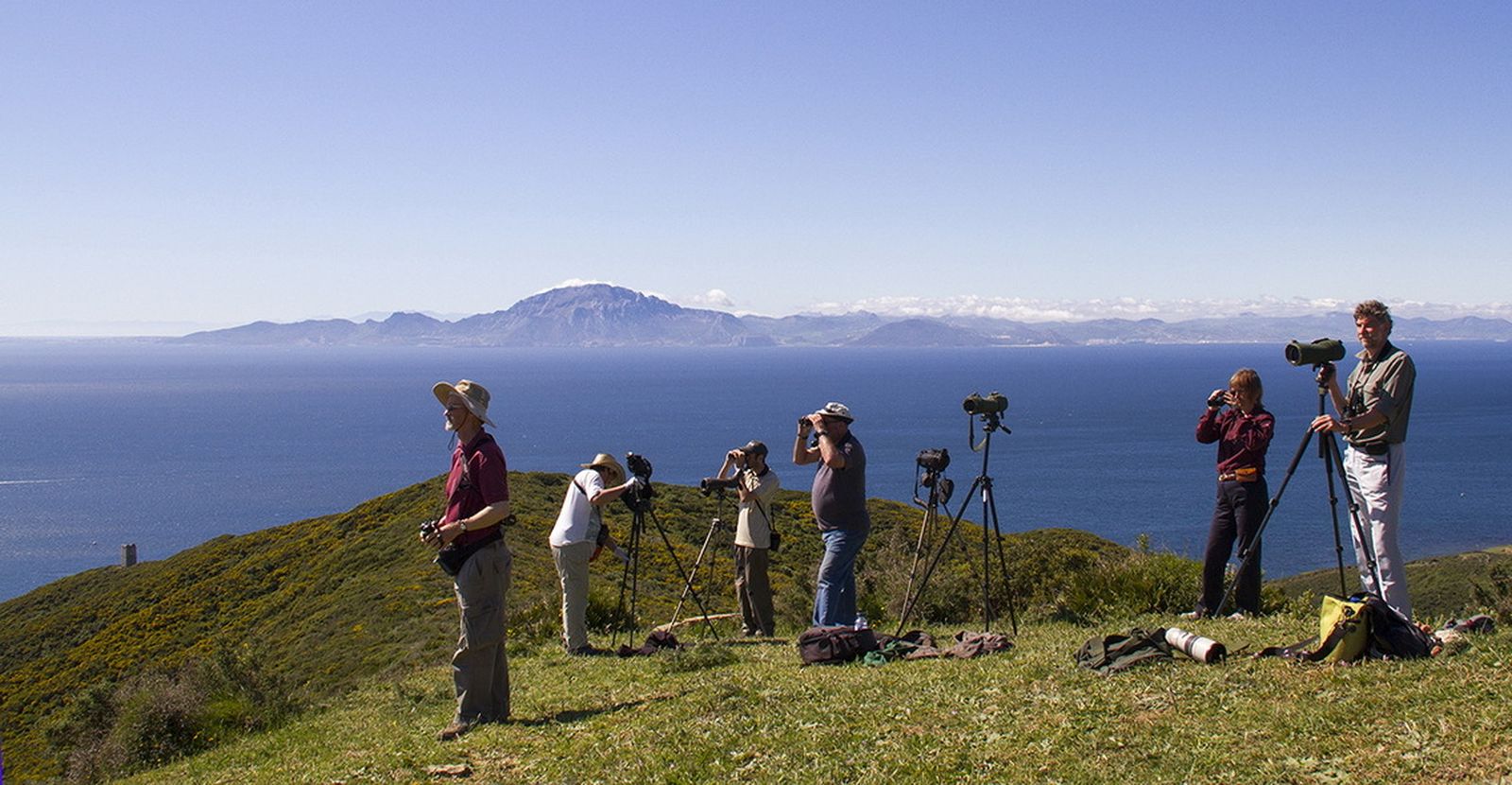 Avistamiento de aves