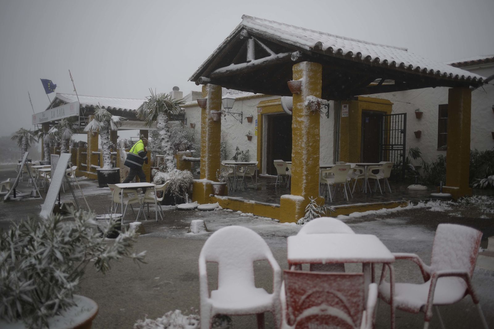 La nevada en el interior de Málaga, en imágenes