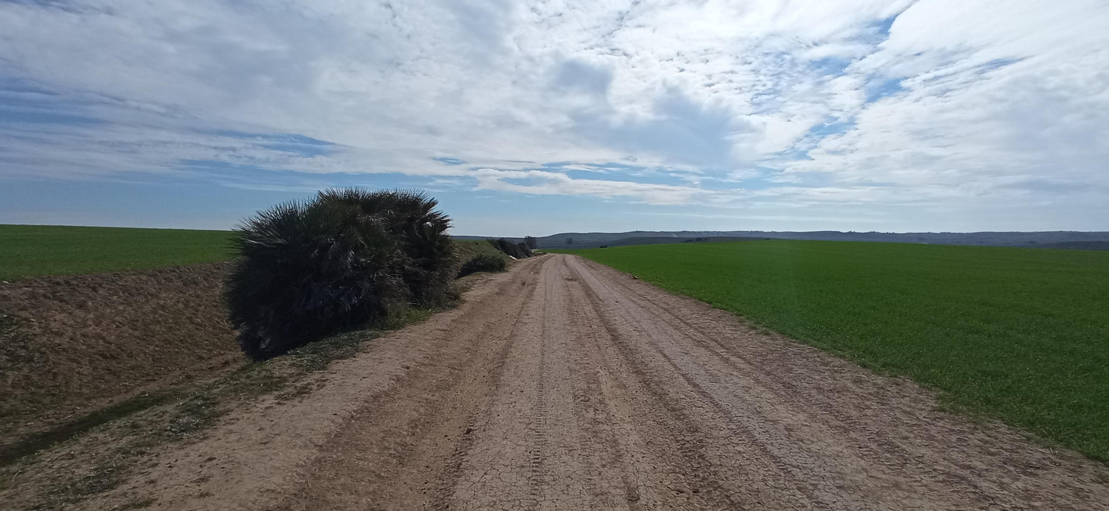 Las imágenes de la ruta de la dehesa de Albaida del Aljarafe