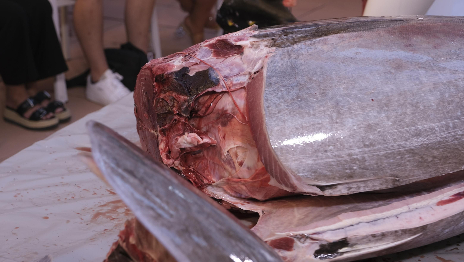 Jornadas del ronqueo del atún rojo de almadraba, en el Espacio Gastrómico Tony García.