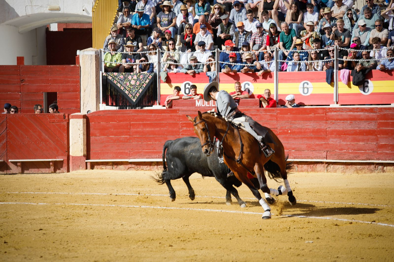 Imágenes del festival mixto lucha contra el cáncer