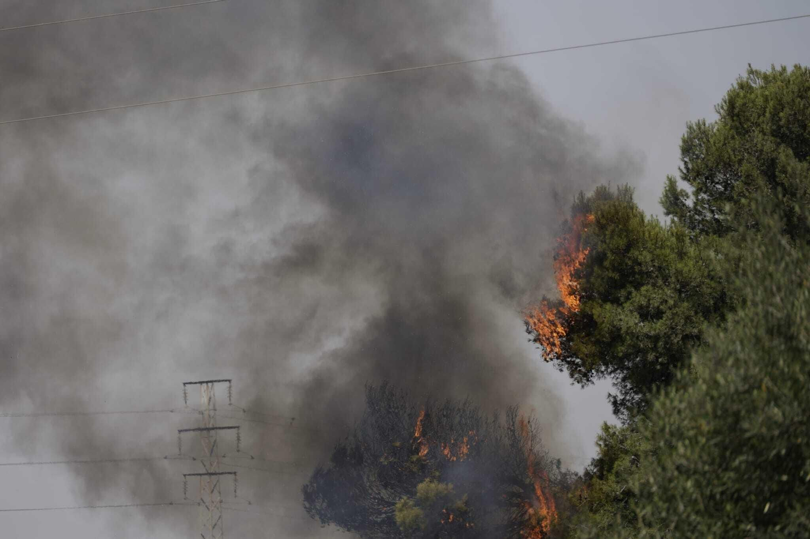 Imágenes del gran incendio de Puerto Real, visible desde la Bahía de Cádiz