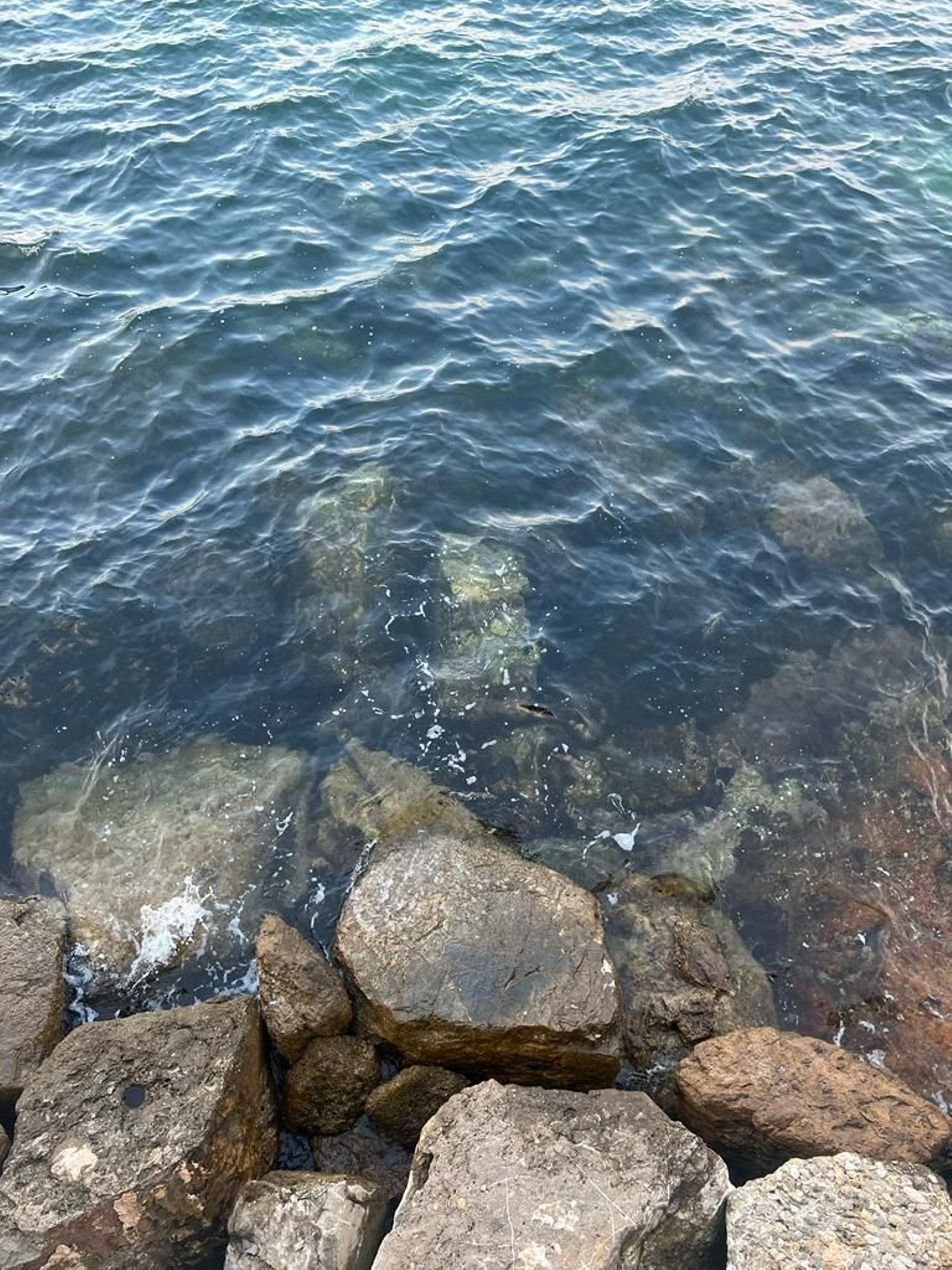 Un lugar de desconexión en Algeciras