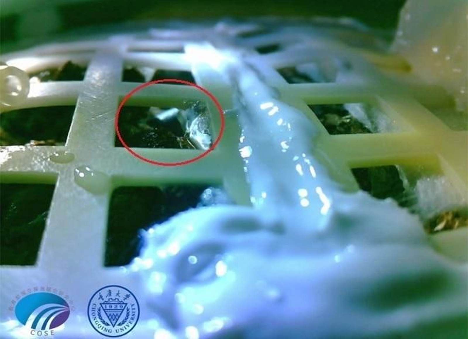 Imagen facilitada por la CNSA