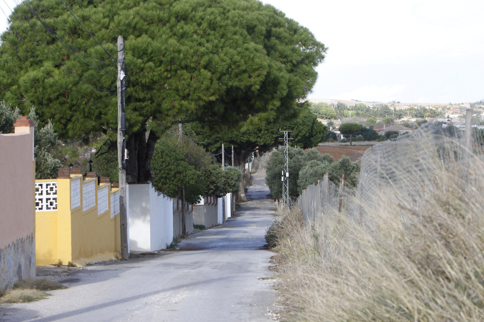 Camino de la Espartina, en Chiclana.