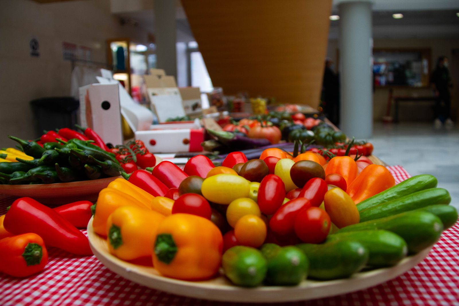 La provincia de Granada supera los 425 millones de euros en exportaciones de agricultura
