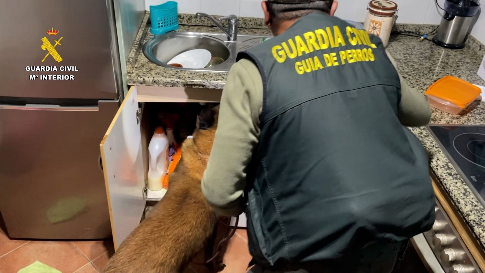Un efectivo de la Guardia Civil, junto a un perro, realiza un registro.