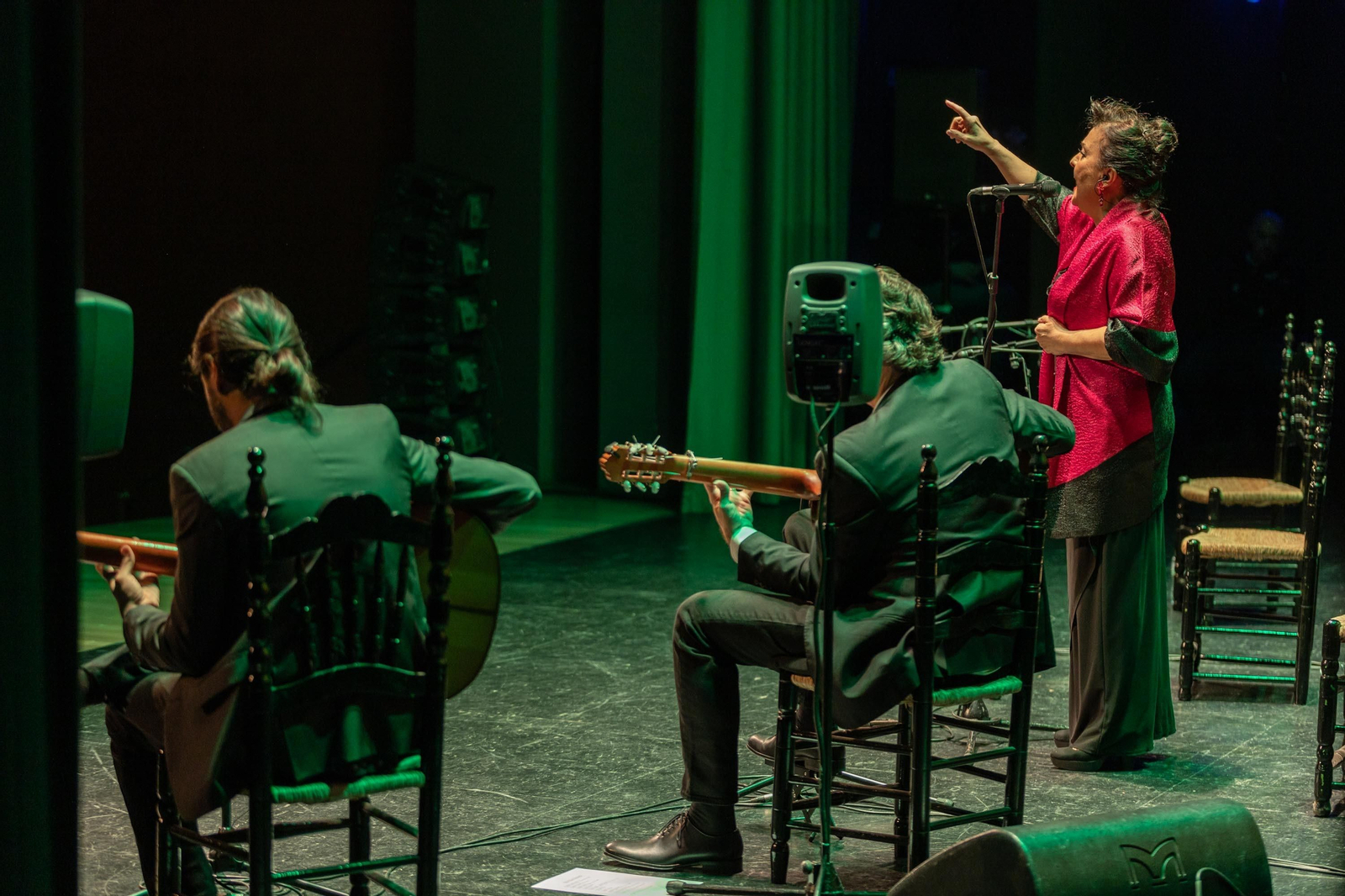Concierto de Carmen Linares en su ciudad.