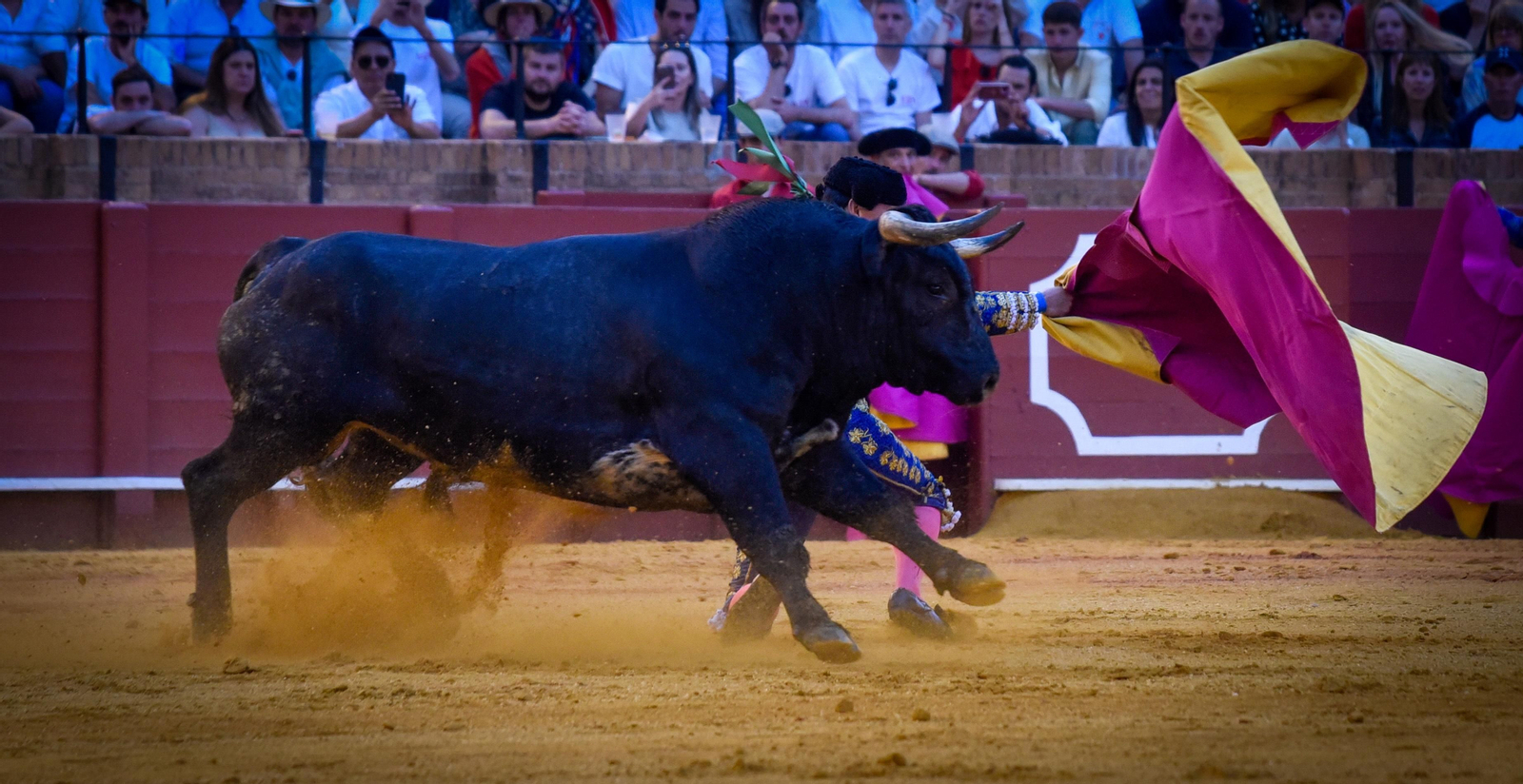 Las imágenes de la corrida de toros de El Fandi, Manuel Escribano y Esaú Fernández