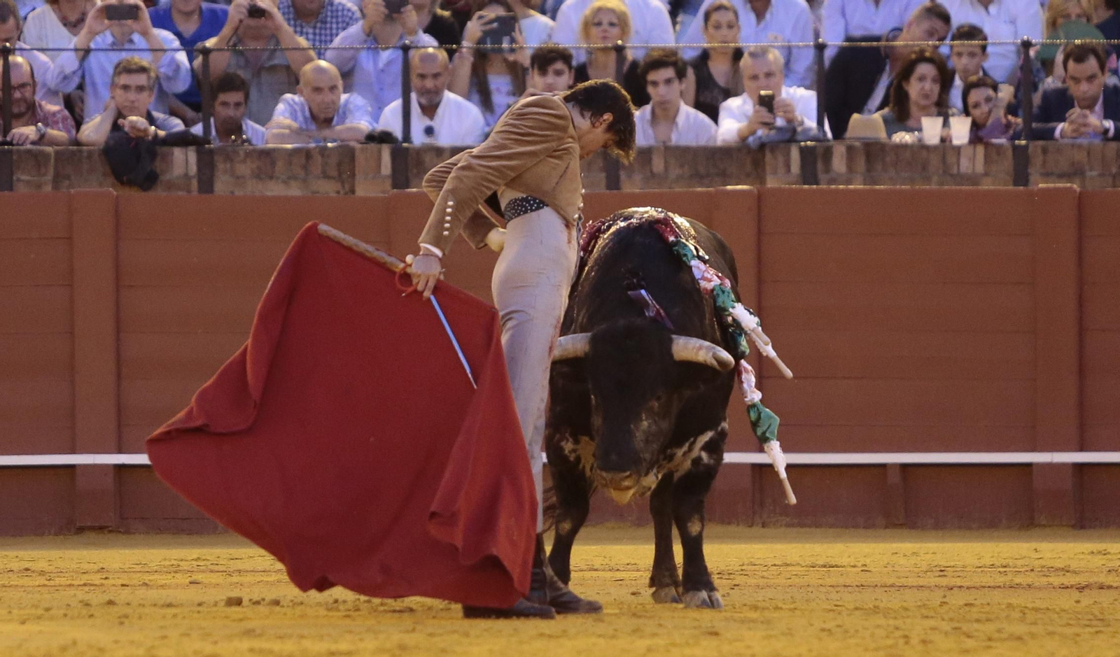 Imágenes del festival benéfico de toros en beneficio de la Hermandad de la Macarena