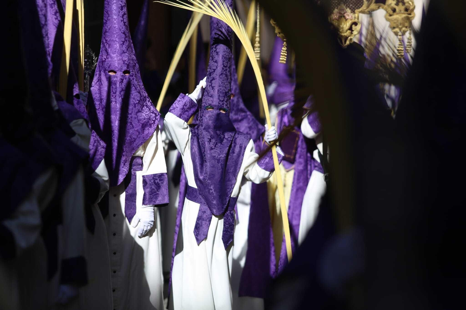Las fotos de Pollinica en su procesión del Domingo de Ramos
