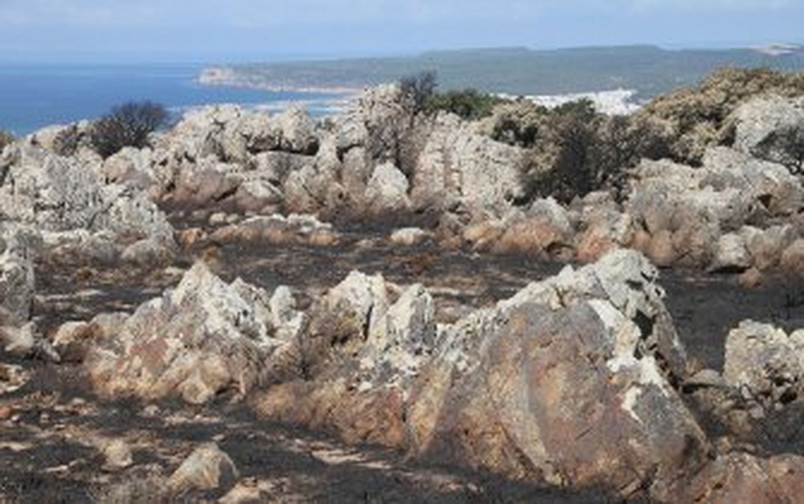 "En el campo del Retín hay ejercicios todos los días del año"