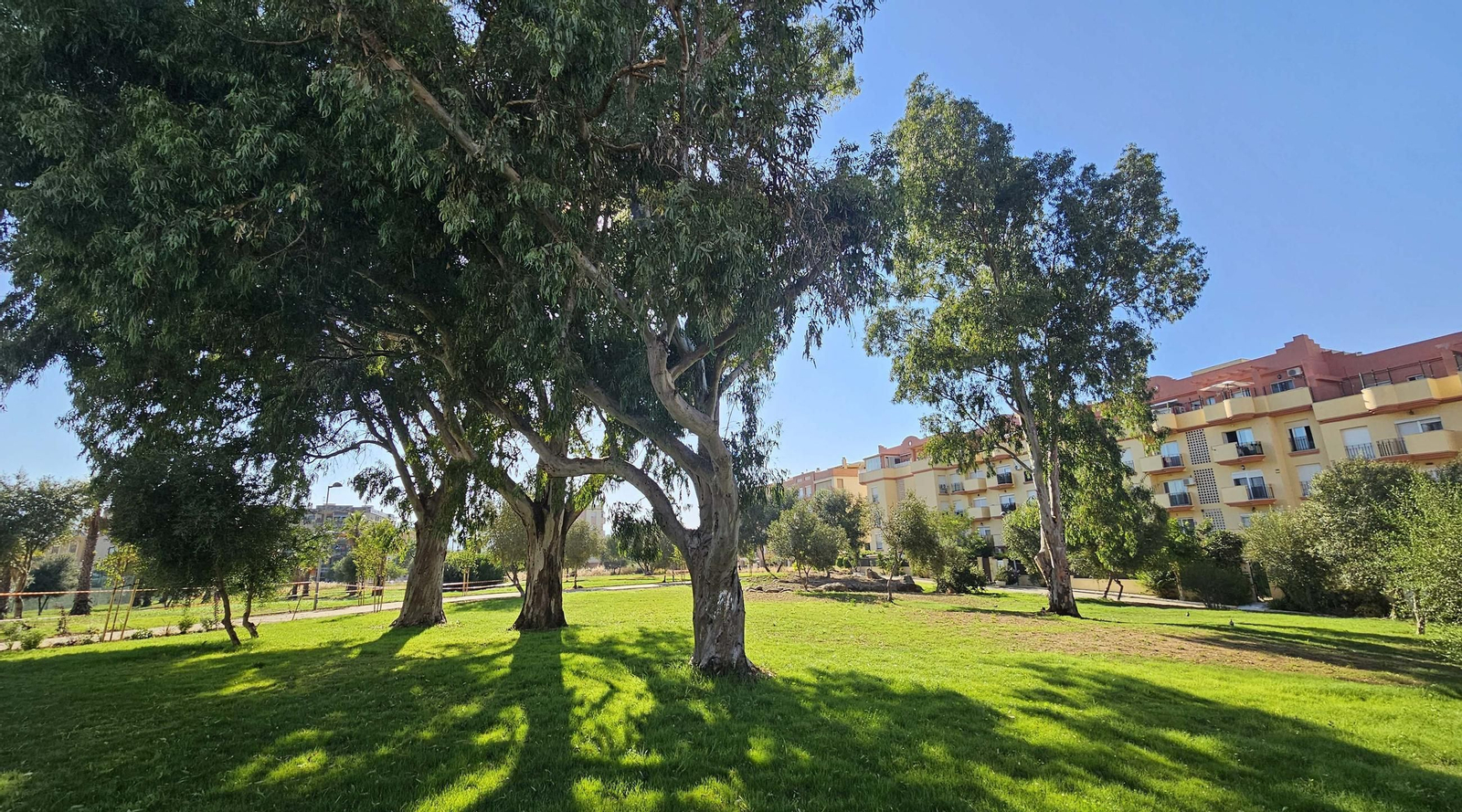 Fotos de los nuevos 12.000 metros cuadrados de zonas verdes de la Ermita, en Algeciras Fotos de los nuevos 12.000 metros cuadrados de zonas verdes de la Ermita, en Algeciras