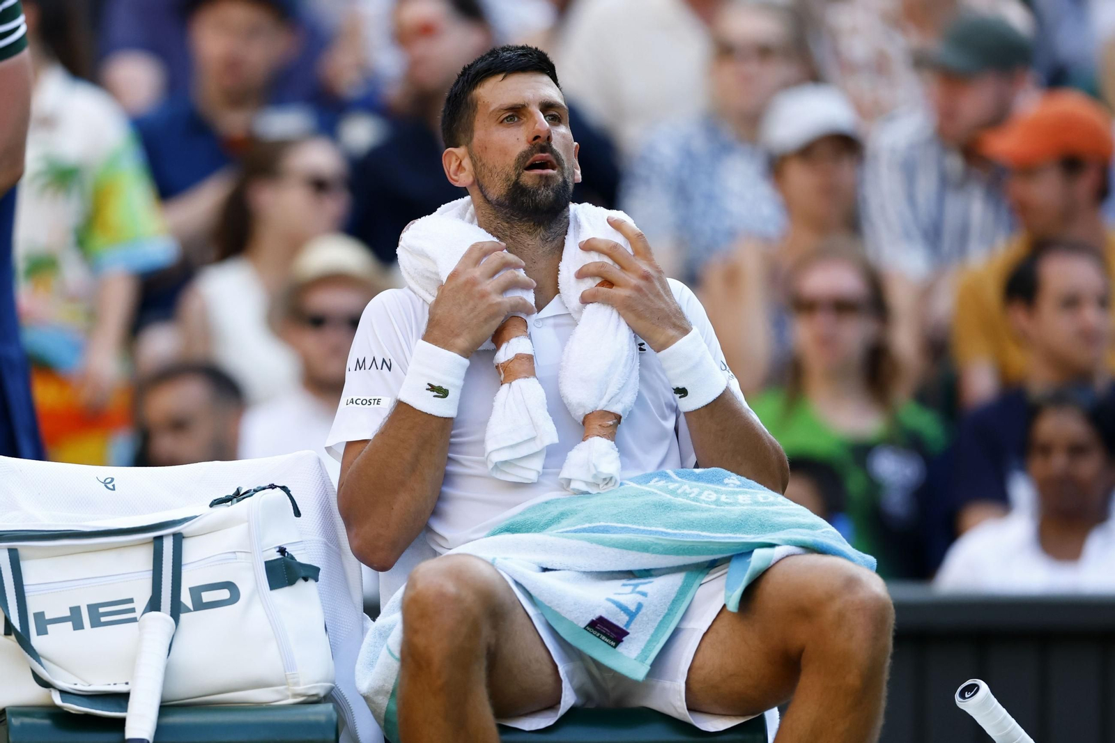 Las fotos de Wimbledon con las clasificaciones de Djokovic y Sinner