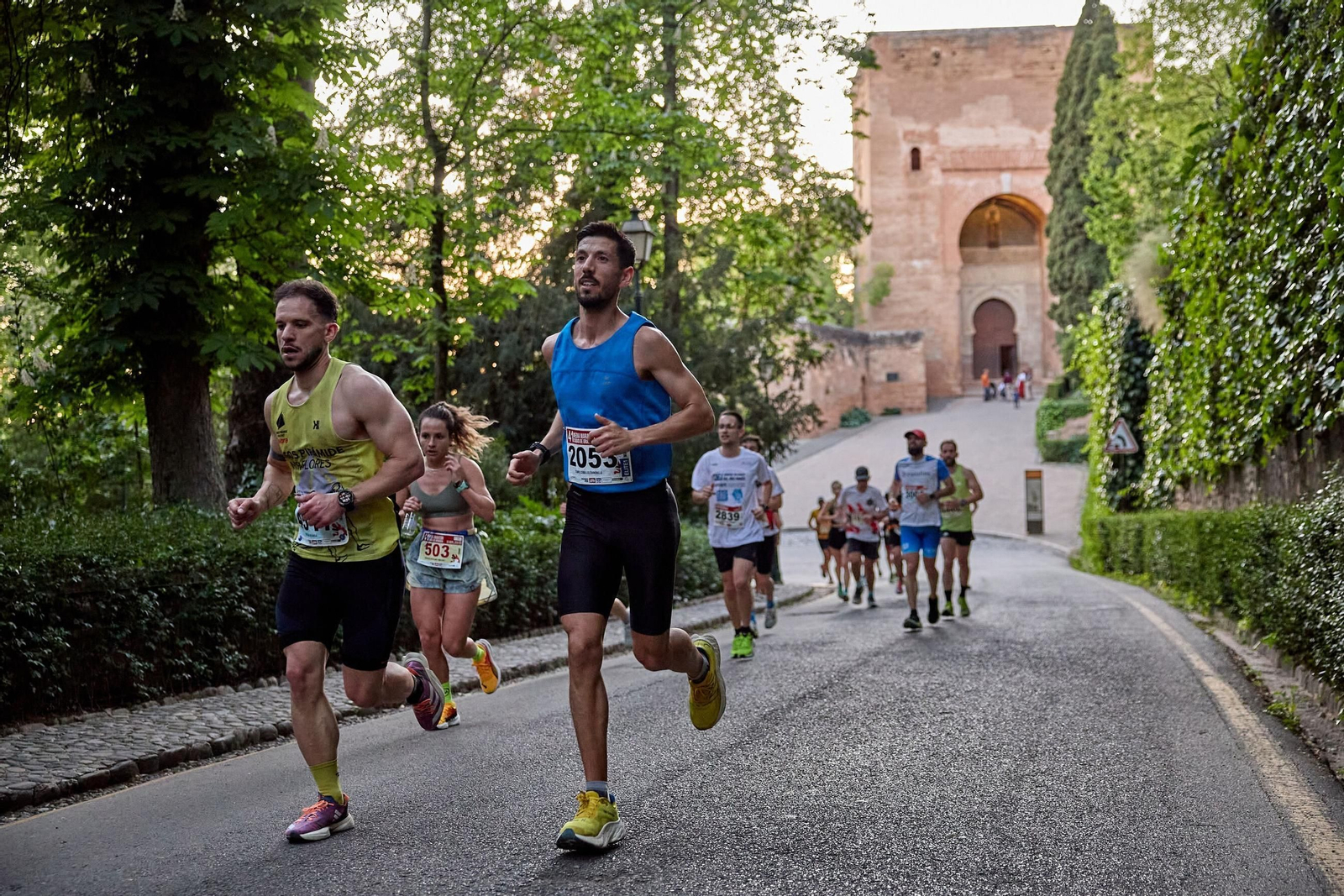 Las mejores imágenes de la Media Maratón Ciudad de Granada 2025