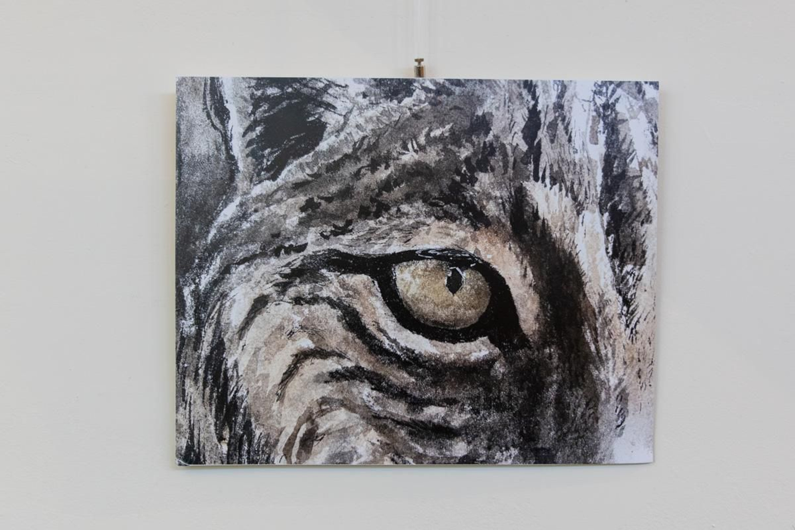 Exposición Los pinceles del lince ibérico, en imágenes