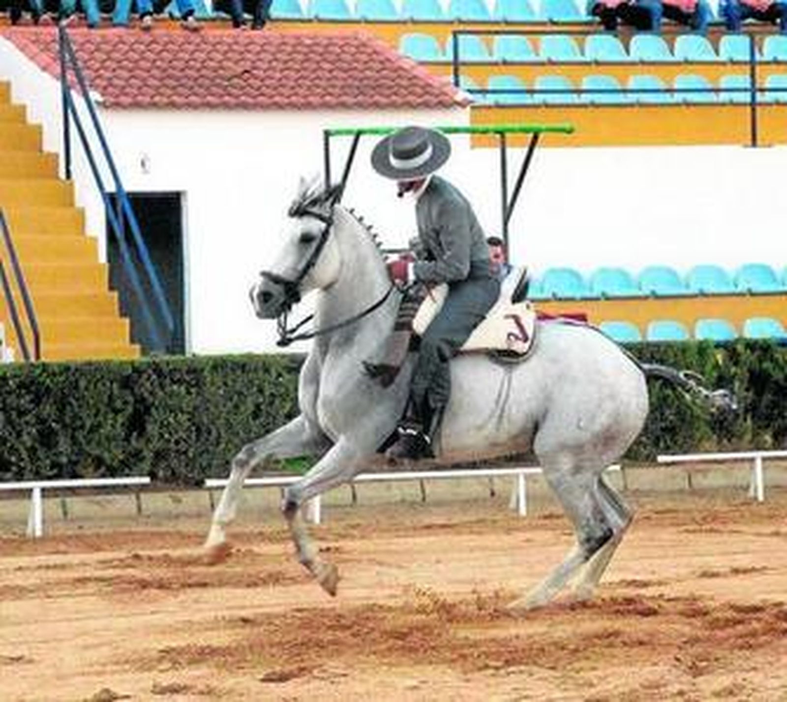 Campeonato de Andalucía de Doma Vaquera, en agosto.